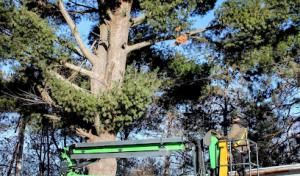 Scheidler Land Services & Tree Removal