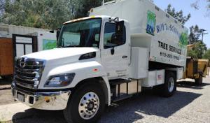 Roy L Schwartz, Arborist & Tree Rescue.