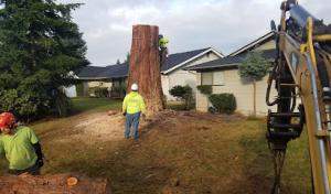 Chambers Enterprises