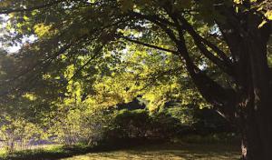 Michelli's Septic Installation & Maintenance