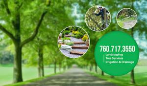 Ramirez Landscape & Tree Service