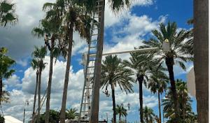 Tri Brothers Tree Service