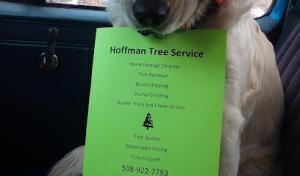 Hoffman Tree Service