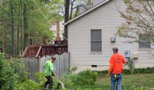 Bullocks Logging & Tree Service