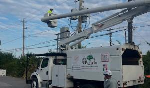 Gomez Trees & Landscaping