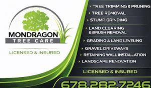 Mondragon Tree Care