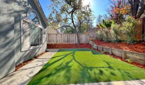 San Jose Tree Service & Landscaping