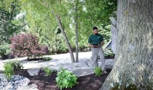 The Davey Tree Expert Company