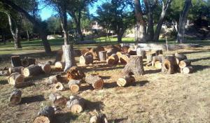 D's Trees & Property Service