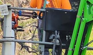 Tony Bridges Tree Service