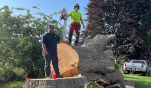 Satti's Family Trees