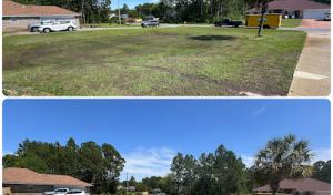 Lawn Care Near Me