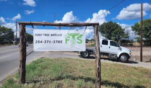 Ford Tree/TexasTreeTrimming