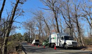 Justin Tree Services & General Construction