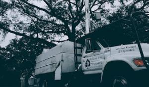 Veteran Tree Service