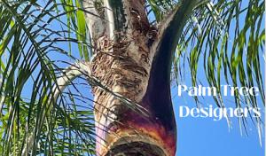 Palm Tree Designers