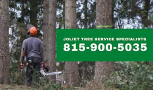 Joliet Tree Service Specialists