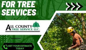 All County Tree Services