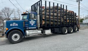 Big Brothers Tree Service