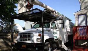 All American Tree Service & Removal Long Island