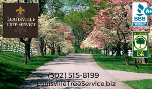 Louisville Tree Service
