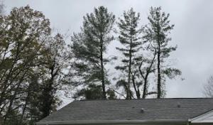 M&L Lumber & Excavating