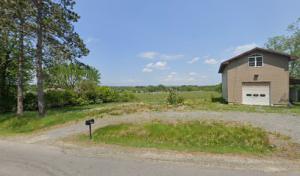 Broken Branch Tree Removal