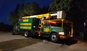 Basin Family Tree Care