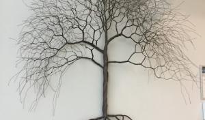 Arborex Tree Services