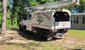 A-1-A Tree Service