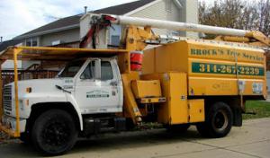 Brock's Tree Service