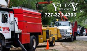 Yutzy Tree Service