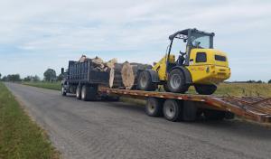 McCoy's Tree Service