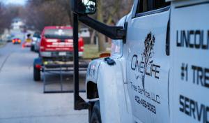 One Life Tree Service