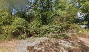 Smileys Tree Service Texas