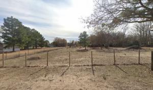 Benitez Tree Service