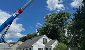 Livingston Family Tree Service