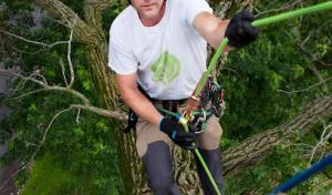 Tree House Arbor Science