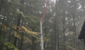 Hoover's Tree Service