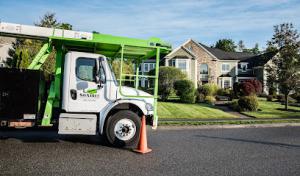 SavATree - Tree Service & Lawn Care