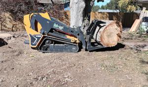 Trees All Day Tree Service