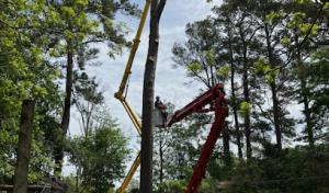 Fuzzell Tree Service