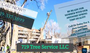 719 Tree Service