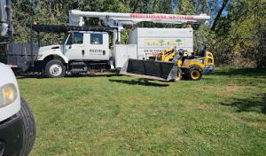 Meyer's tree service