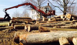 Roger's Tree Service