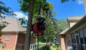 Stump Eater Tree Service