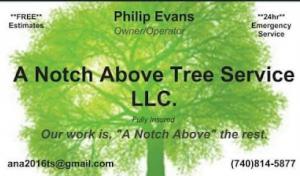 A Notch Above Tree Service