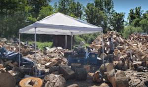 Antonio's Tree Service