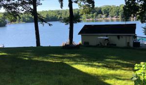 Autumn Leaves Tree Removal