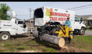 Ringgold Tree Service